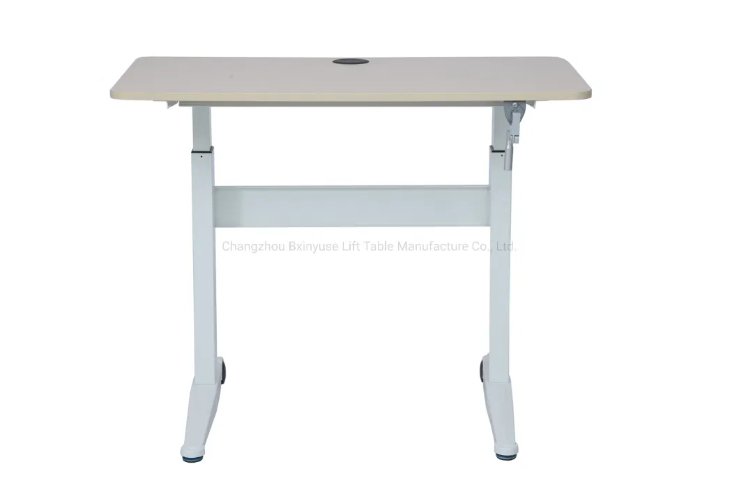 48&prime;&prime; Rectangular Height Adjustable Office Desk / Standing Laptop Desk / Lift Table