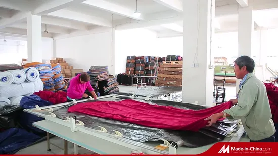 Pop up Tent, Camping Tent, Outdoor Tent, Quick Tent Tpp